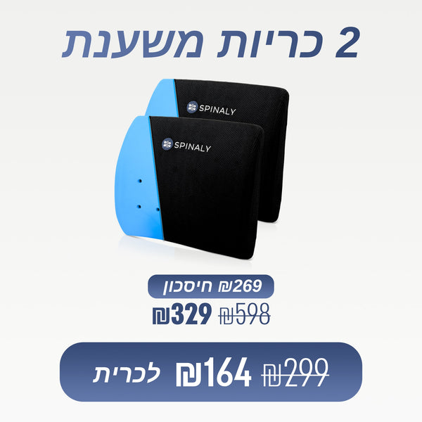 מארז 2 כריות משענת (₪164 לכרית)